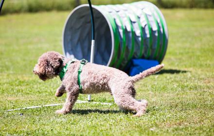 Bilder & Videos Hoopers Seminar